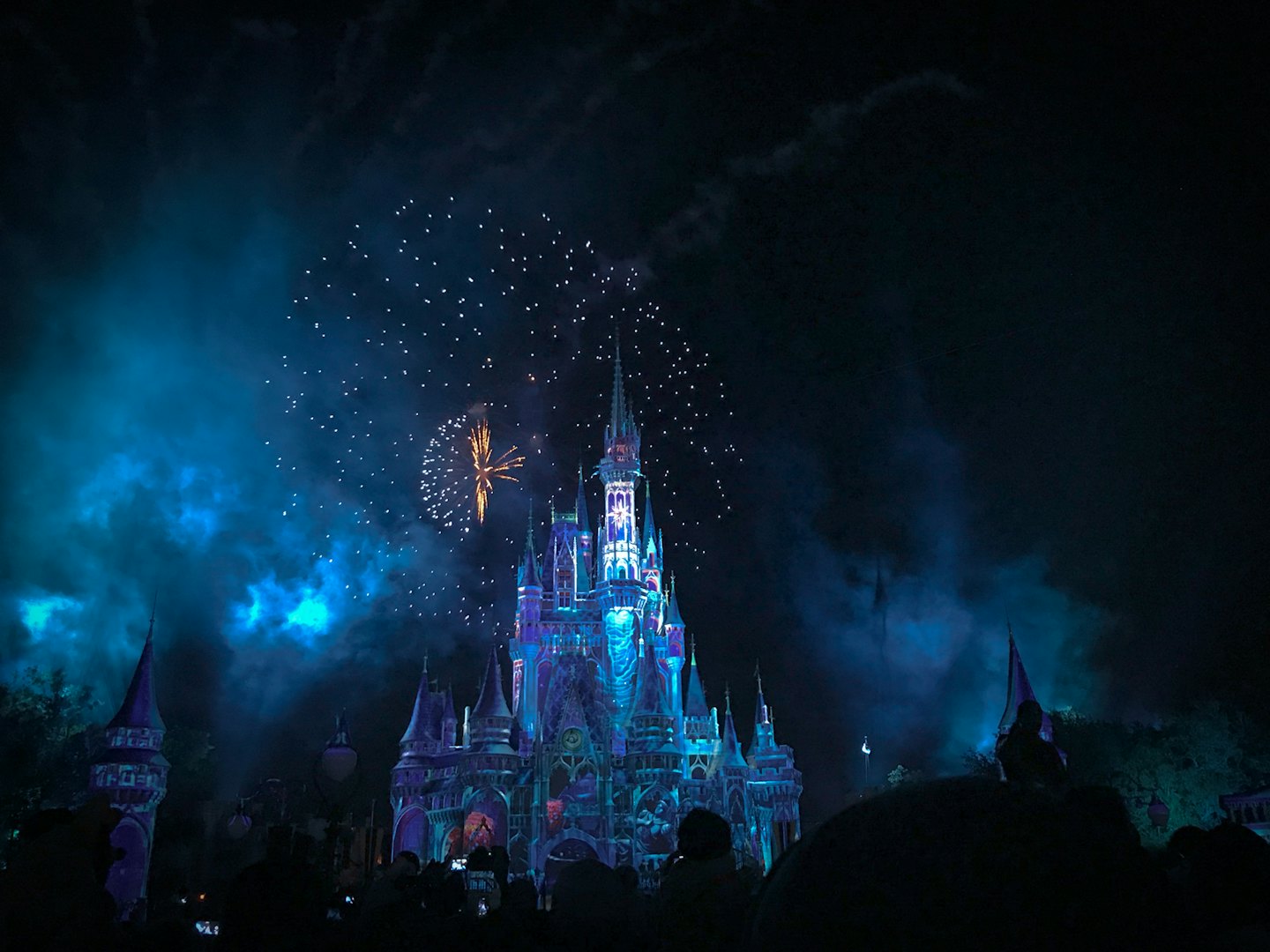 Magic Kingdom em Orlando a noite - Roteiro personalizado Menegasso Viagens
